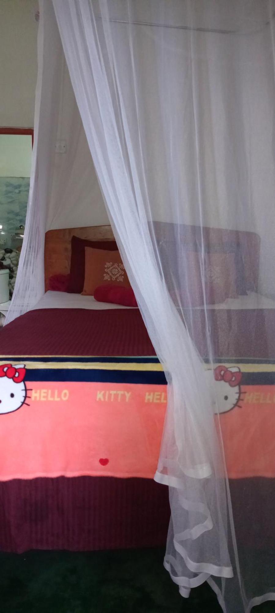 Apartmán Dream Nest Ella Exteriér fotografie